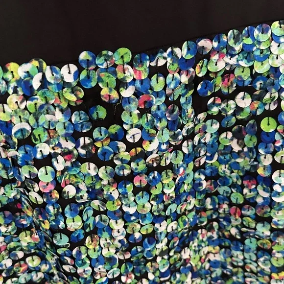 Ann Taylor Black Skirt with Blue and Green Sequins - Picture 5 of 6